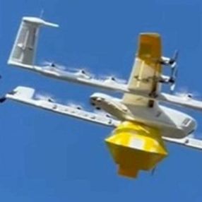 Avustralya'da kuşlar, kargo drone'una saldırdı