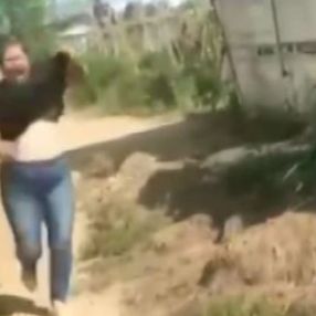 Antalya’da, ejder meyvesi yüzünden çıkan tartışma karakolda bitti