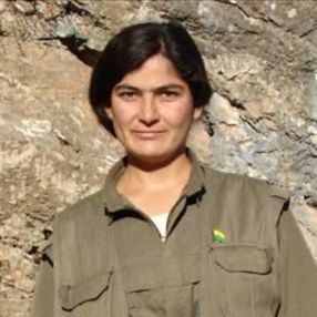 PKK'lı Taybet Bilen'le beraberindeki 2 terörist öldürüldü