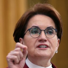 Meral Akşener, şehit ağabeyine 'ahlaksız' dedi