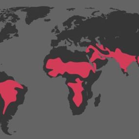 Bir milyar insan, 2 derecelik sıcaklık artışından etkilenecek uyarısı