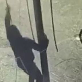 Şişli’de kablo hırsızının ilginç yöntemi