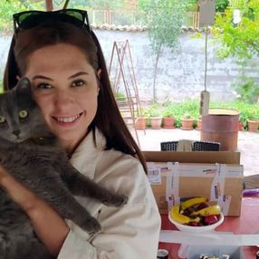 İstanbul'da kedisini yakalamaya çalışan doktor balkondan düştü
