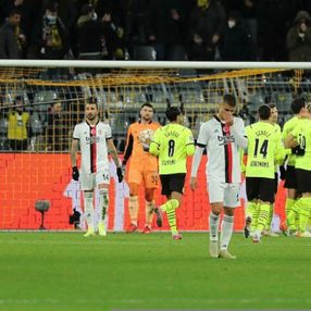 Beşiktaş'ın Şampiyonlar Ligi geliri