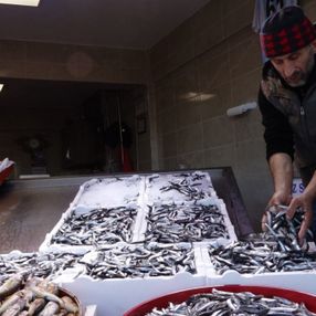 Karadeniz'de hamsinin kilosu 10 TL'den 40 TL'ye çıktı