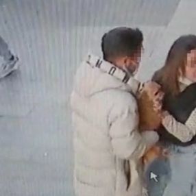 Kağıthane'de, sever gibi yapıp 3 bin dolarlık köpeği çaldılar