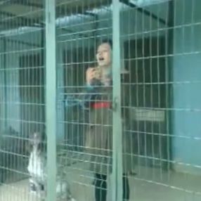 Ben bugün köpeklerin sesiyim diyerek 'havladı'