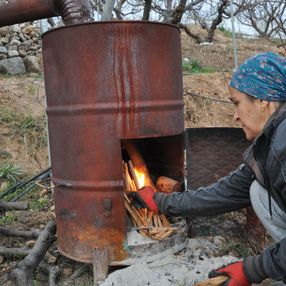 Mersin'de değeri 500 lira olan erik için don nöbeti tutuluyor
