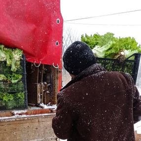 Eskişehirli çiftçiler kar yağışından memnun