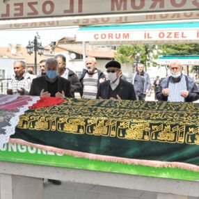 Çorum'da sokak köpeğine çarpmamak için canından oldu