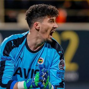 Altay Bayındır kaleye duvar ördü