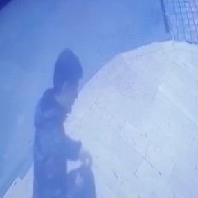 Esenyurt'ta sinyal kesici kullanan hırsız kamerada