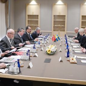 Finlandiya: Türkiye'nin dile getirdiği sorunlar çözülebilir