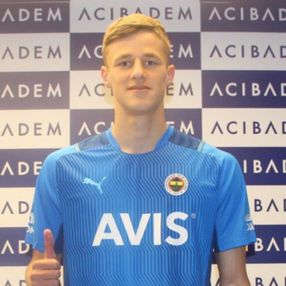 Ensar Brahic, Fenerbahçe'de