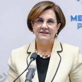 Gaye Usluer, Memleket Partisi'nden istifa etti
