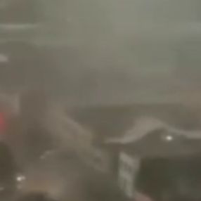 Çin'de hortum: Ağaçlar kökünden söküldü