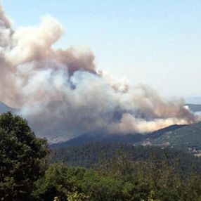 Balıkesir'de orman yangını