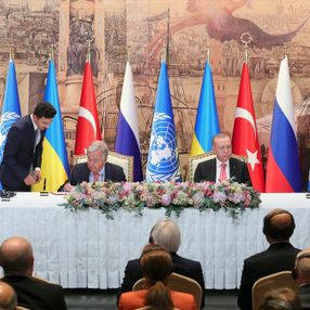 Tahıl krizinin çözümü sonrası Türkiye'ye tebrik mesajı yağdı