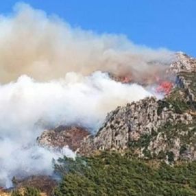 Türkiye'nin 3 ayrı bölgesinde orman yangını