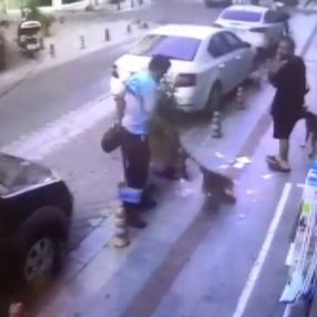Kadıköy'de ‘köpeğe toz geldi’ diyerek temizlik işçisini dövdü
