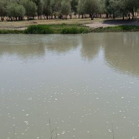Aras Nehri'ne düşen çocuğunu kurtarmaya çalışan anne akıntıya kapılarak boğuldu