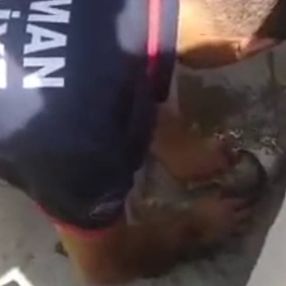 Batman’da itfaiye personeli kurtardığı kediyi kalp masajıyla hayata döndürdü