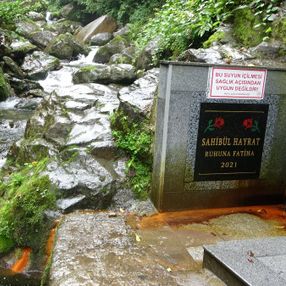 Rize'de böbrek taşına iyi geldiği için içtikleri su zehirli çıktı
