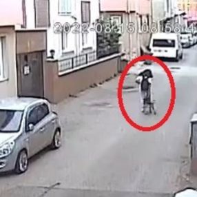 Bursa'da köpek dehşeti: Küçük kızı ısırdı