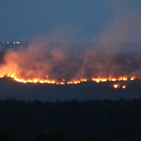 Bulgaristan'da orman yangını: Edirne'nin köylerine kadar dayandı