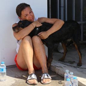 Edirne'de Ukraynalı çiftin araçta bıraktığı köpek havasızlıktan telef oldu