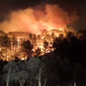 Muğla'nın Ula ilçesinde çıkan orman yangınına havadan müdahale başladı