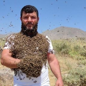 Batman’da binlerce arıyı vücudunda taşıdı