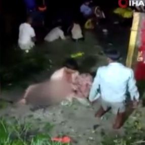 Hindistan’da traktör gölete düştü