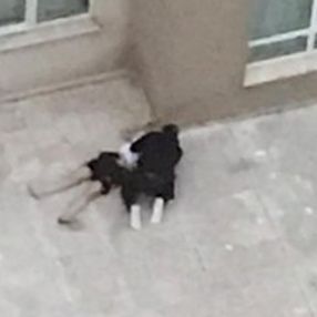 Sevgilisinin başında ağlayan genç tahliye oldu