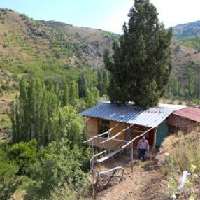 Hayalini kurduğu evi ardıç ağacına yaptı