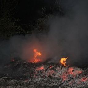 Kastamonu'da orman yangını büyümeden söndürüldü