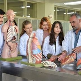Kamuda en çok iş bulan meslekler listesi