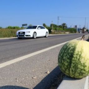 Adana'da karpuz bol, alan yok