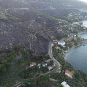 Marmara Adası'ndaki yangında 1 gözaltı