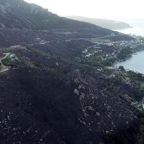 Marmara Adası için ağaçlandırma seferberliği