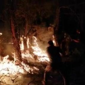Eskişehir’de orman yangını söndürüldü