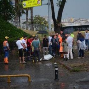 Unkapanı'nın 'Cici Babası' selde hayatını kaybetti