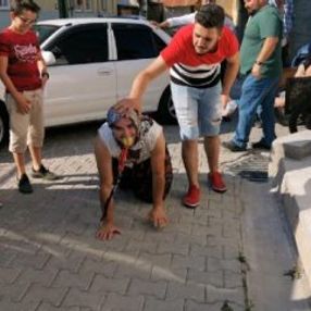 Şalvar ve emzikli damat, gelin evine emekleyerek gitti