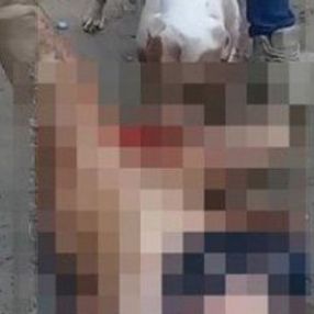 Meksika'da tecavüzcü adama pitbullu infaz