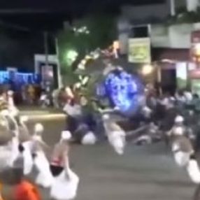 Sri Lanka'da ürken fil insanları ezdi