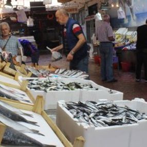 Sardalya şu an tezgahın en ucuz balığı oldu