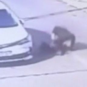 Tuzla'da erik atan çocuğu darbeden şahsın savunması