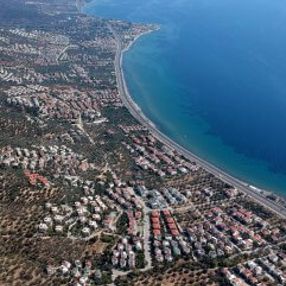 Kaz Dağları'na villa yapmak için kesilen zeytin ağaçları