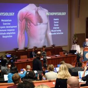 Nobel Tıp Ödülü'nün kazananları belirlendi