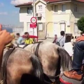 Adalar'da faytoncular dumansız araç uygulamasına takıldı
